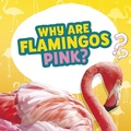 Cover: Why Are Flamingos Pink? - Raintree Publishers