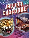 Cover: Jaguar vs Crocodile - Raintree Publishers