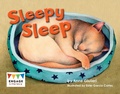 Cover: Sleepy Sleep! - Raintree Publishers