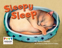 Enlarge image Cover: Sleepy Sleep! - Raintree Publishers