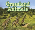 Cover: Grassland Animals - Raintree Publishers
