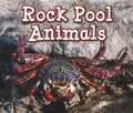 Cover: Rock Pool Animals - Raintree Publishers