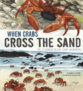 Cover: When Crabs Cross the Sand - Raintree Publishers
