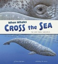 Cover: When Whales Cross the Sea - Raintree Publishers