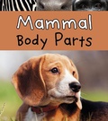 Cover: Mammal Body Parts - Raintree Publishers