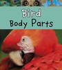 Cover: Bird Body Parts - Raintree Publishers