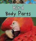 Cover: Bird Body Parts - Raintree Publishers
