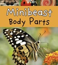Cover: Minibeast Body Parts - Raintree Publishers