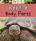 Cover: Reptile Body Parts - Raintree Publishers
