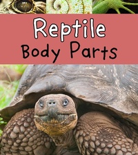 Enlarge image Cover: Reptile Body Parts - Raintree Publishers