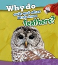 Cover: Why Do Owls and Other Birds Have Feathers? - Raintree Publishers
