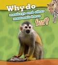 Cover: Why Do Monkeys and Other Mammals Have Fur? - Raintree Publishers