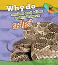 Cover: Why Do Snakes and Other Animals Have Scales? - Raintree Publishers
