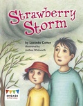 Cover: Strawberry Storm - Raintree Publishers