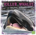 Cover: Killer Whales - Raintree Publishers