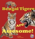 Cover: Bengal Tigers Are Awesome! - Raintree Publishers