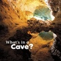 Cover: What's in a Cave? - Raintree Publishers