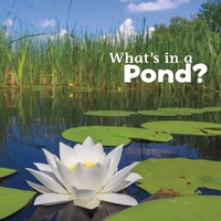 Enlarge image Cover: What's in a Pond? - Raintree Publishers