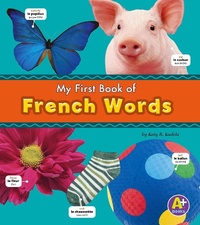 Abbildung von: French Words - Raintree Publishers