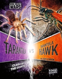 Enlarge image Cover: Tarantula vs Tarantula Hawk - Raintree Publishers