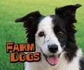 Cover: Farm Dogs - Raintree Publishers