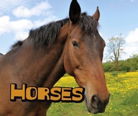 Enlarge image Cover: Horses - Raintree Publishers
