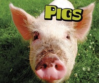 Enlarge image Cover: Pigs - Raintree Publishers