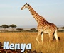 Cover: Kenya - Raintree Publishers