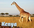 Cover: Kenya - Raintree Publishers