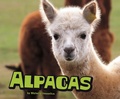 Cover: Alpacas - Raintree Publishers