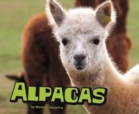 Enlarge image Cover: Alpacas - Raintree Publishers