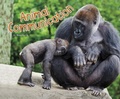 Cover: Animal Communication - Raintree Publishers