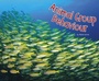Cover: Animal Group Behaviour - Raintree Publishers