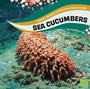 Cover: Sea Cucumbers - Raintree Publishers