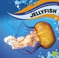 Cover: Jellyfish - Raintree Publishers
