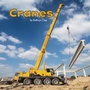 Cover: Cranes - Raintree Publishers