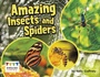 Cover: Amazing Insects and Spiders - Raintree Publishers