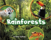 Enlarge image Cover: Rainforests - Raintree Publishers