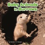 Cover: Baby Animals in Burrows - Raintree Publishers
