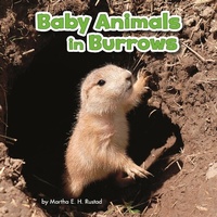 Enlarge image Cover: Baby Animals in Burrows - Raintree Publishers