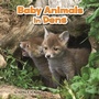 Cover: Baby Animals in Dens - Raintree Publishers