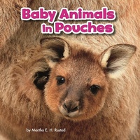 Enlarge image Cover: Baby Animals in Pouches - Raintree Publishers