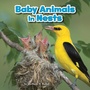 Cover: Baby Animals in Nests - Raintree Publishers