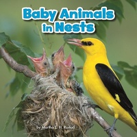 Enlarge image Cover: Baby Animals in Nests - Raintree Publishers