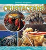 Cover: Crustaceans - Raintree Publishers