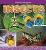 Cover: Insects - Raintree Publishers