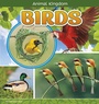 Cover: Birds - Raintree Publishers