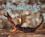 Cover: Scorpions - Raintree Publishers