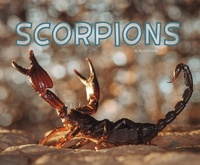 Enlarge image Cover: Scorpions - Raintree Publishers