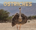 Cover: Ostriches - Raintree Publishers